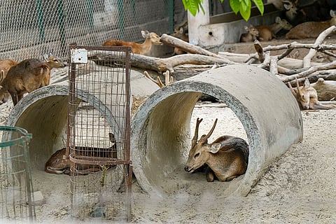 Hot summer day in Lucknow